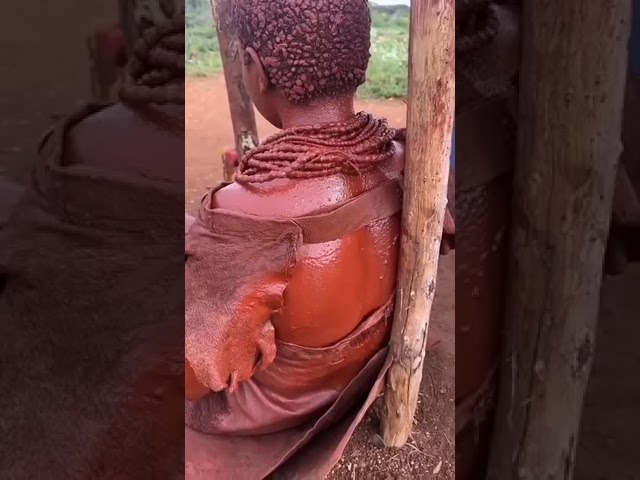 This is the bridal traditions of the Himba people