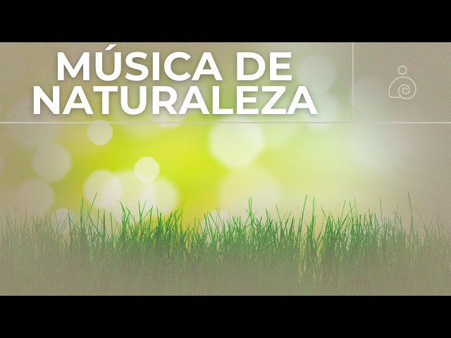 🌿Música De Naturaleza Instrumental 2024 / Libera El Estrés Y la Ansiedad /🌿