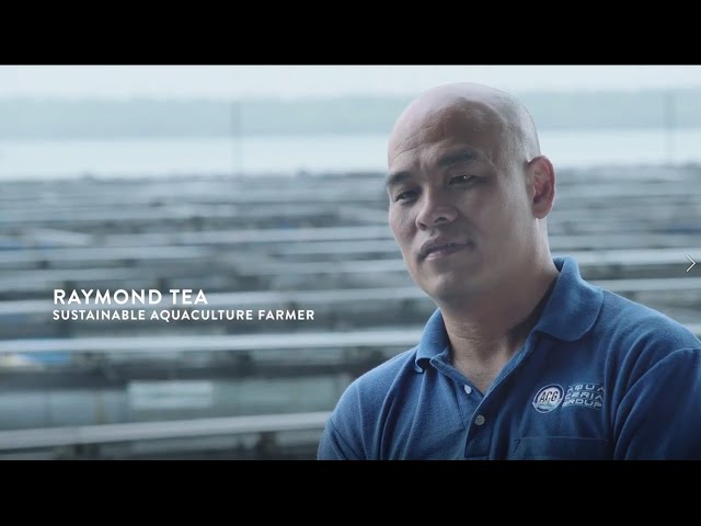 Safeguarding our oceans through sustainable seafood - DTS Group