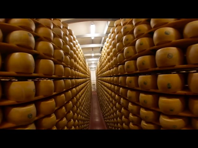 How We Make it (in Italy): Parmigiano Reggiano 360