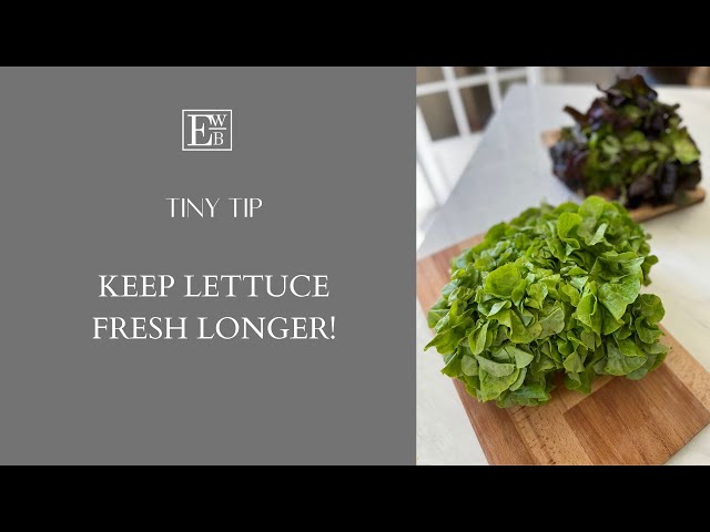 Stop Throwing Away Lettuce! Try this! #shorts