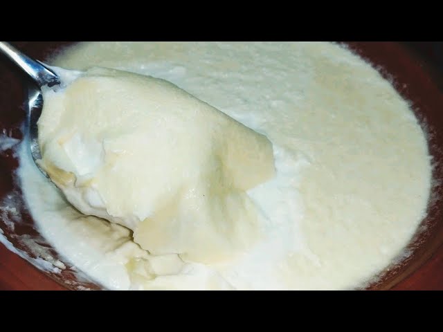 Dahi Jamane ka Sahi tareeka Halwai jaisa | Thick or itni moti malai wali dahi ab jamae ghar par Curd