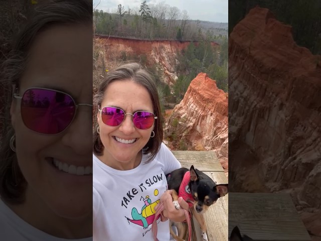 Exploring Georgia’s Mini Grand Canyon with My Chihuahuas #chihuahua #pets #spoiledchihuahua #fun