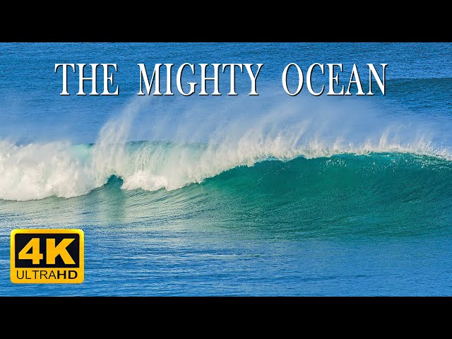 Mighty ocean waves  // The Shipwreck Beach, Australia 4K 8 hours