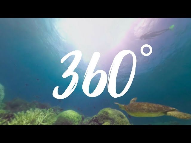 Great Barrier Reef in 360°