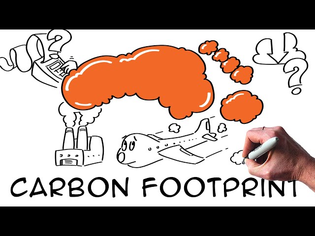 What is a CARBON FOOTPRINT? How to calculate and reduce it? | Climate change