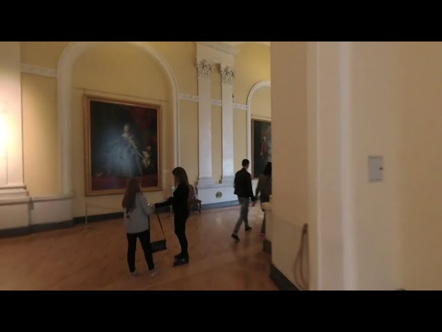 Russia - St Petersburg - State Hermitage Museum 10 (VR180)