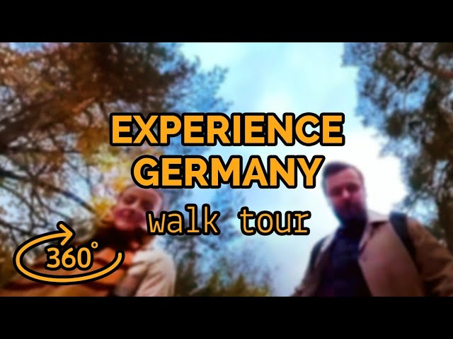 360° VR Walking Tour - Colorful Fall Foliage in German Forest