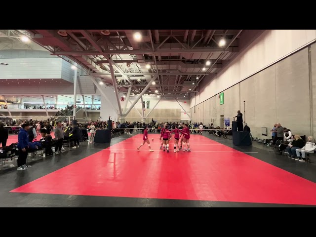 CALI 15 Black vs Premier EDGE 15 Blue