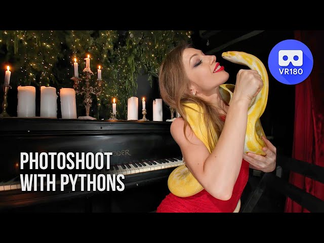 The Year of the Snake. Photoshoot with pythons backstage in VR180 3D