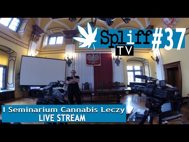 I Seminarium Cannabis Leczy [LIVE STREAM] SPLIFF TV (37)