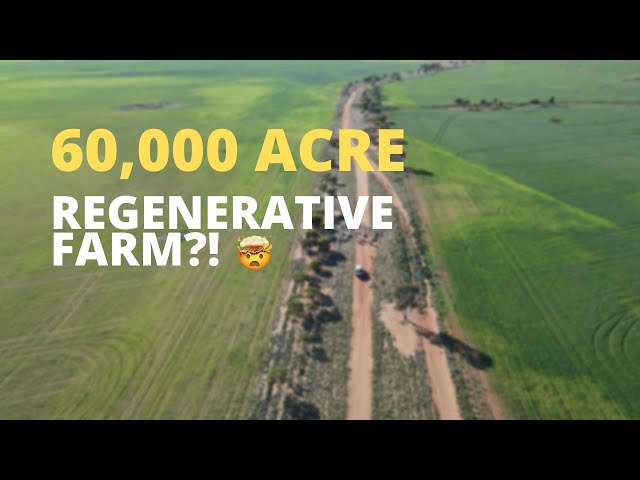 World breakthrough regenerative farming operation