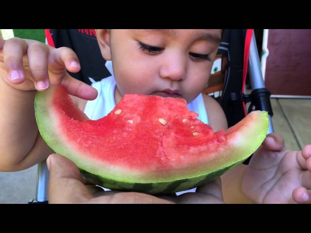 Summer Fun Ideas without Going to Beach or Pool - FamilyTube