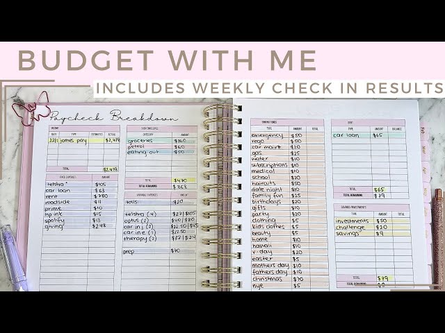 ✨ Budget with me | January Week 4 | Plus Weekly Check In Results ✨