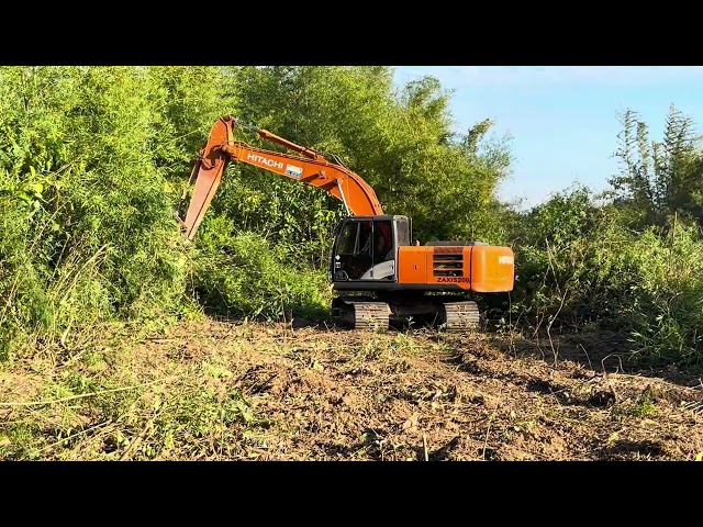 The excavator is pushing bamboo #reels #excavator