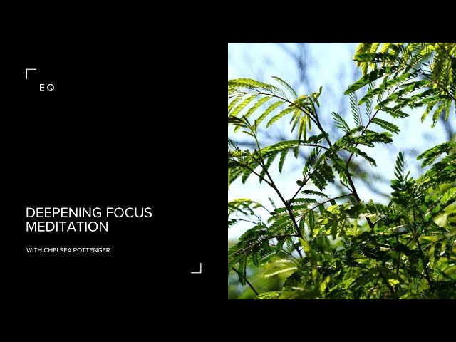 Deepening Focus Meditation