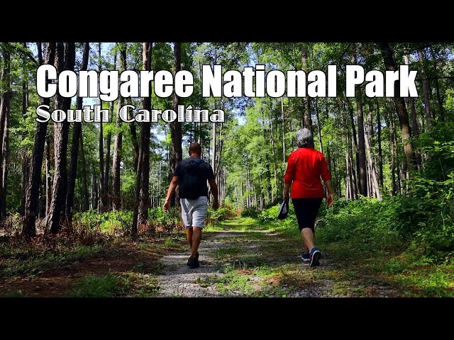 Hiking Congaree National Park in South Carolina | RV Life