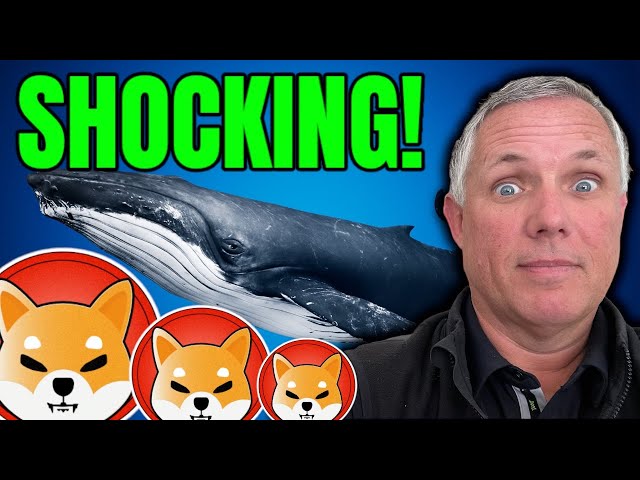 SHOCKING! Shiba Inu Coin Whales "Collecting" Over 10 Trillion Tokens! What Do They Know...