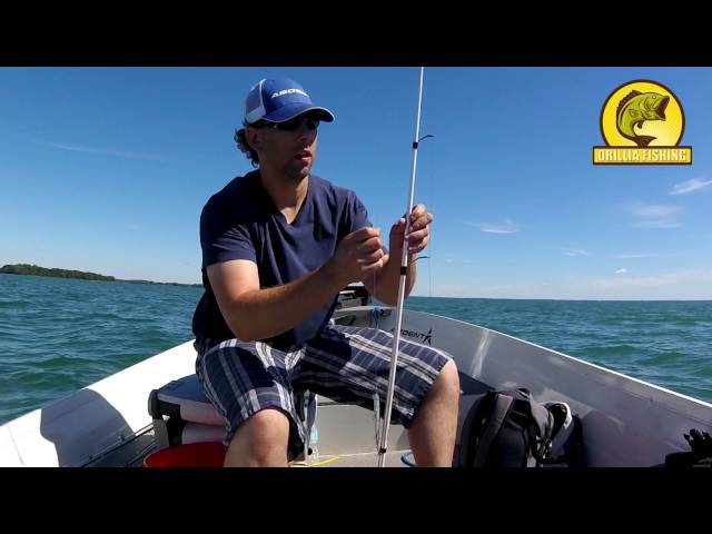 Fishing Tip: Keep your rods from tangling