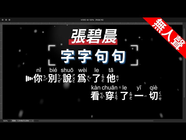 張碧晨 - 字字句句   無人聲伴奏KTV字幕+繁體Mandarin+拼音Pinyin