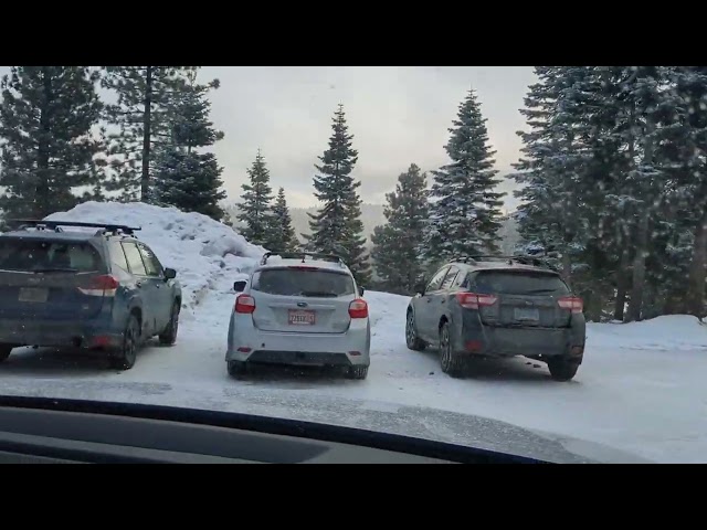 procura de Neve parte 3 serra da nevasca Califórnia