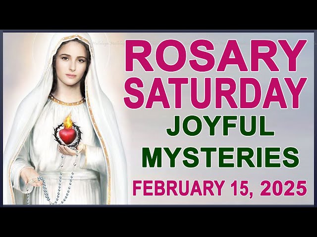 The Rosary Today I Saturday I February 15 2025 I The Holy Rosary I Joyful Mysteries