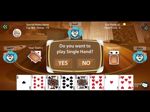 testing  live play 29 card