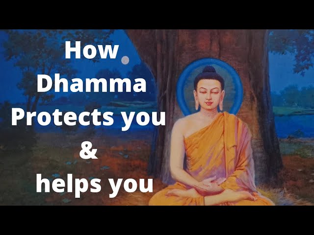 Buddha stories: How Dhamma Protects you & helps you | Buddha's Teaching in English | Meditation