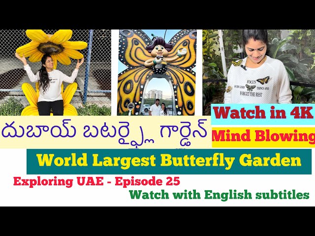 Butterfly Garden Dubai full tour in  telugu || Explore UAE Episode 25