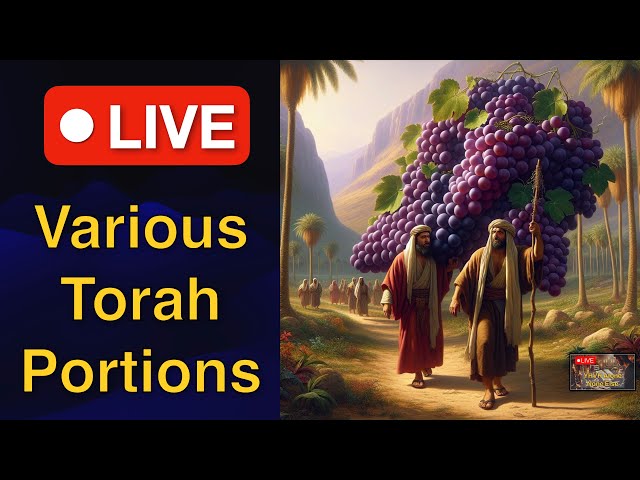 Livestream - Parashiot - The Hebrew Bible