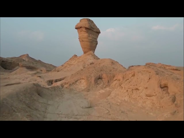 The fascinating creatures of wind and water thriving in the desert landscape of Yardangs, Iran