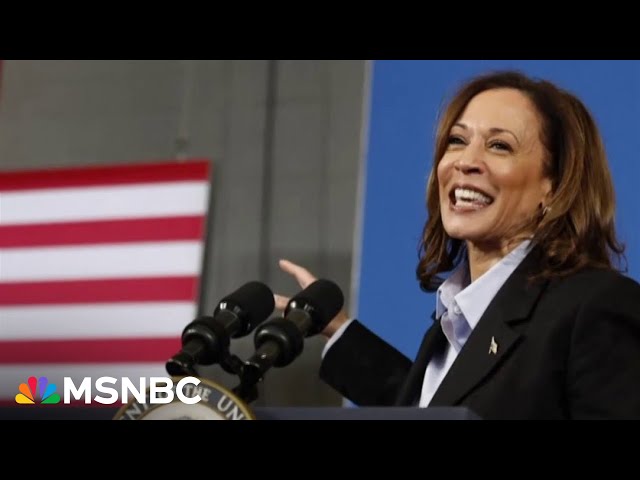 ‘She’s putting in the work, Trump is sitting at his golf course’: VP Harris hits swing states hard