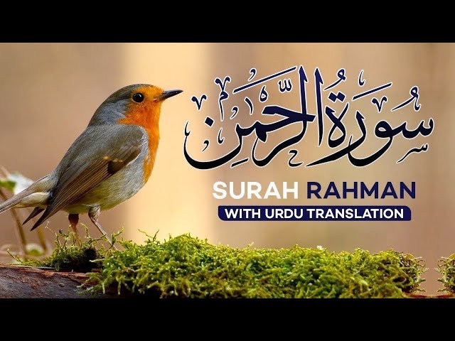 Surah Rahman full with Urdu translation & Explanation | Amazing Quran Visualization