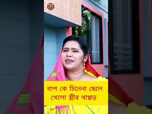 বাপ কে চিনেনা ছেলে, খেলো স্ত্রীর  থাপ্পড়। সিলেটি নাটক  #comedy #funny#banglanatok #natok #sylhet