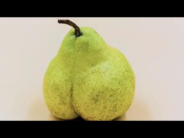 Pear|JackBox