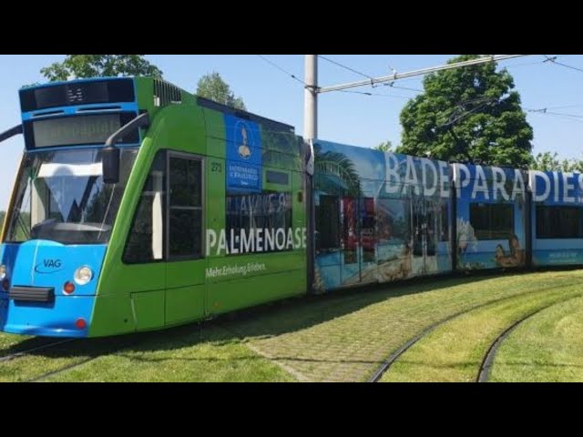 Mit der Straßenbahn 🚋Combino Basic in Freibug❤️￼