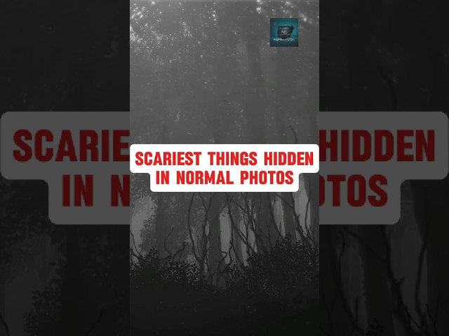 Scariest Things Hidden in Normal Photos (Pt. 10)