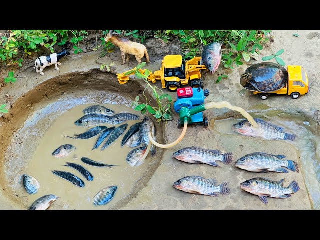 Catch fish using mini water pump | fishing exciting | diy tractor ‪@Mini Fish Creator