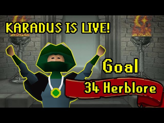 Aiming for Level 34 Herblore! OSRS Noob To Maxed Account Skilling Adventures! NO SPOILERS IN CHAT!