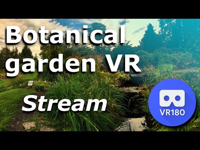 Botanical garden stream VR