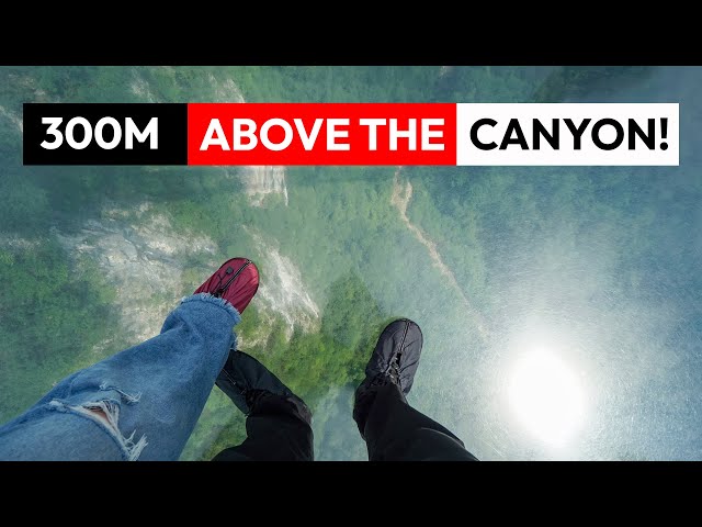 Why this Glass Bridge is the World's Most Thrilling Walkway!