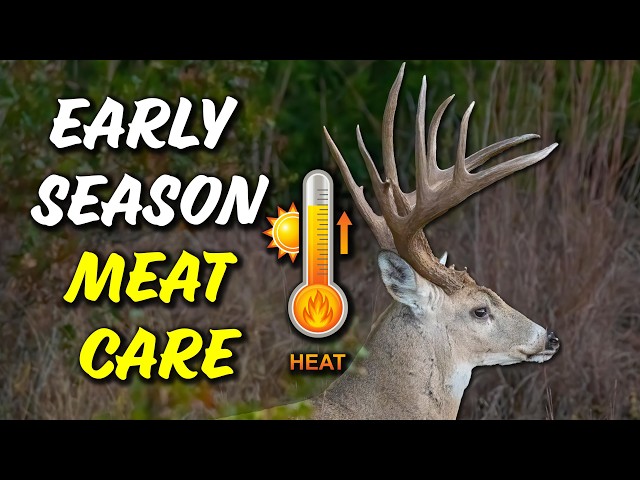 The steps you need to take to preserve your deer meat in HOT weather.