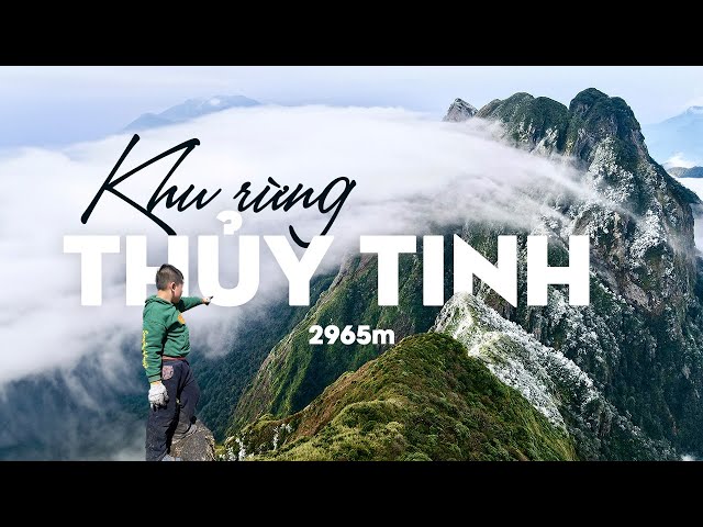 Nhìu Cồ San 2965m - Hành trình tạo kí ức cho con / Khu rừng thủy tinh