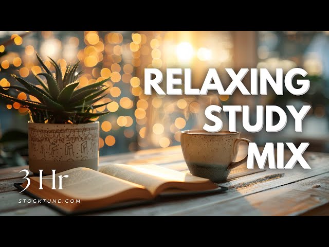 📚☕️ Bossa Nova Cafe - Relaxing Study Music Mix 🎵 Chill Out Lounge Instrumental Playlist