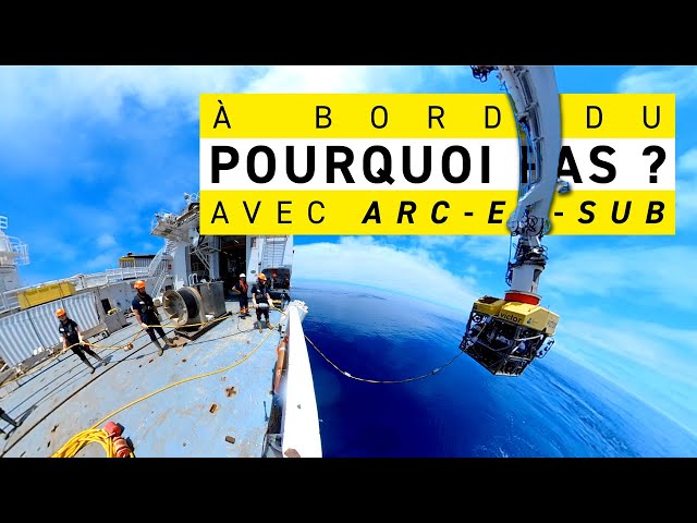 🚢 À bord du Pourquoi pas ? avec ARC-EN-SUB | 360°