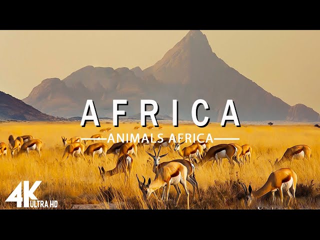 FLYING OVER AFRICA (4K UHD) - Relaxing Music Along With Beautiful Nature Videos - 4K Video Ultra HD