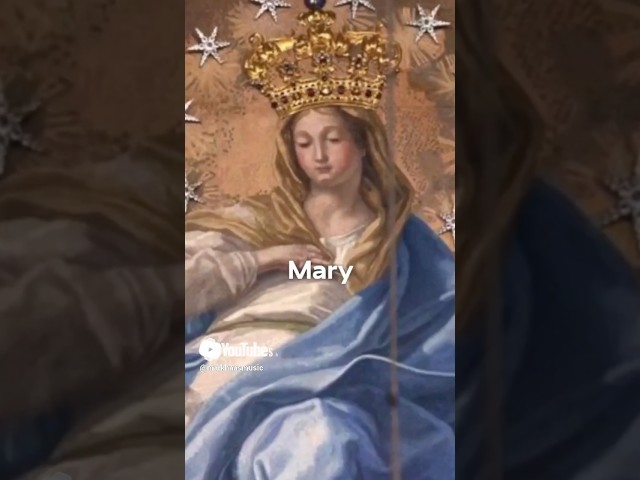 Mary is the NEW Ark #catholic #blessedvirginmary #bible #scripture #wordofgod #apologetics #jesus