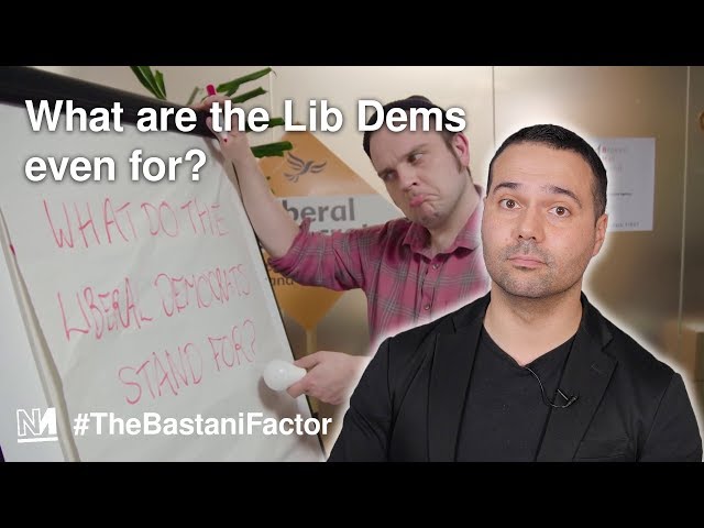 What exactly are the Lib Dems for?