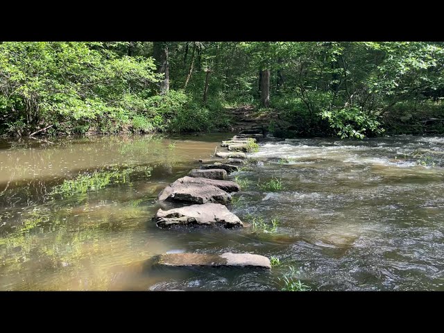 A Forest Hike with River Sounds