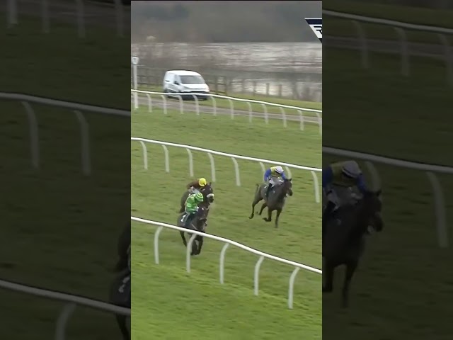 A Willie Mullins winner at Catterick! #horse #horseracing #racingtv #sport #britishhorseracing